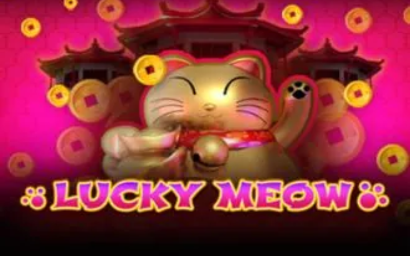Resultado Facil Lucky Meow featured